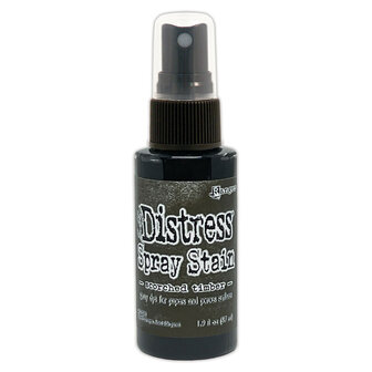 Spray Stain Vintage Photo Ranger Distress p/st