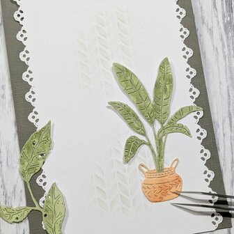 Stans grote plant in mooie pot p/st