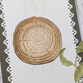 Stans  houten schijf van een boom 65x63mm p/st