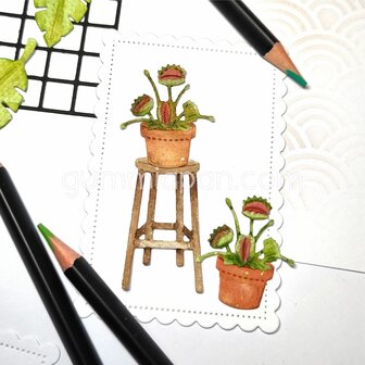 Stans vleesetende plant 29x35mm p/st