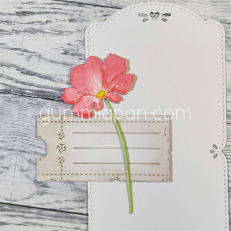 Stans grote tuin cosmos bloem 34x75mm p/st