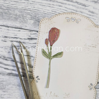 Stans Lidismthus bitterblad 20x59mm p/st