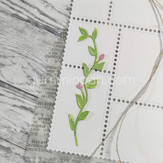 Stans akkerwinde bloem streng 28x91mm p/st