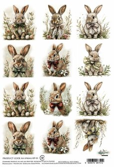 Rice Paper SPRING kleine beestjes A4 p/vel 