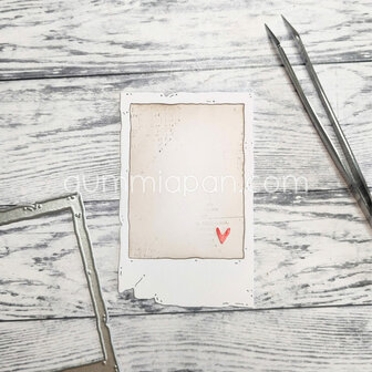 Stans Old Polaroid 54x86mm p/st