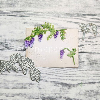 Stans gouden regen deel 1 p/st