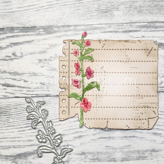 Stans Ridderspoor 21x62mm p/st