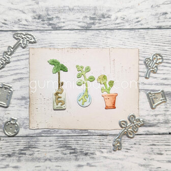 Stans stekjes van plant p/st