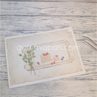 Stans cake set 5-delig p/st