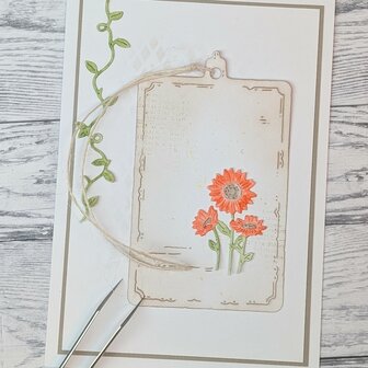Stans smalle gerbera's 29x42mm p/st