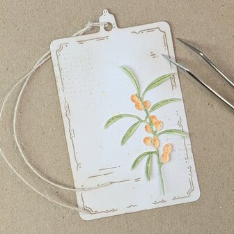 Stans Sea Buckthorn 40x66mm p/st