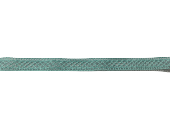 Kant mintgroen 10mm p/3mtr new lace