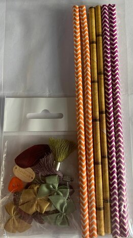 Accessoire set paars/oranje p/21st