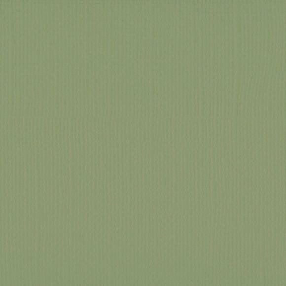 Cardstock Acacia 30.5x30.5cm texture 216gr p/vel