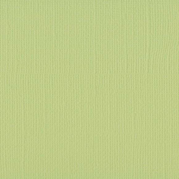 Cardstock anijs 30.5x30.5cm texture 216gr p/vel