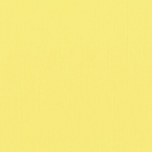 Cardstock asparagus 30.5x30.5cm texture 216gr p/vel