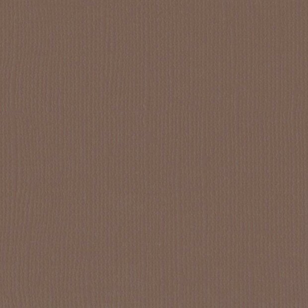 Cardstock Bear 30.5x30.5cm texture 216gr p/vel