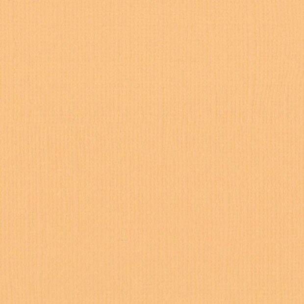 Cardstock Bee 30.5x30.5cm texture 216gr p/vel