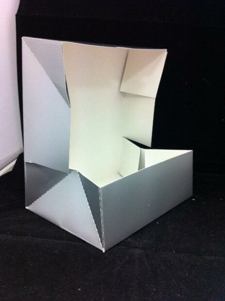 Doos zilver 250grm p/10st 