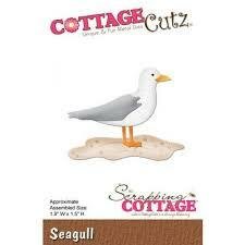 Stans cutz zeemeeuw p/st