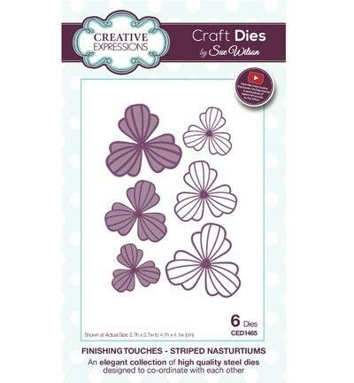 Stans gestreepte Nasturtiums p/st