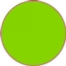 Verzendzakken limegroen 25x33cm p/250st