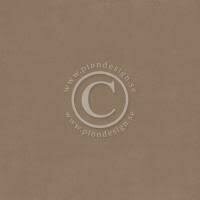 Cardstock Palette Brown1 30.5x30.5cm p/vel 