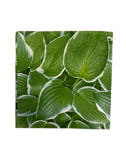 Servetten bladeren 33x33cm p/20st