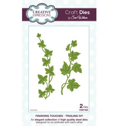 Stans Hedra Trailing Ivy 10.4x4.8cm p/st