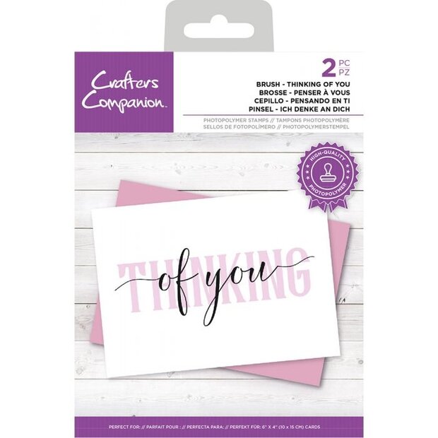 Clear stamp Brush Thinking of you p/2st