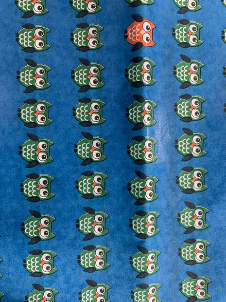 Vloeipapier blauw uiltjes 50x70cm p/5vel