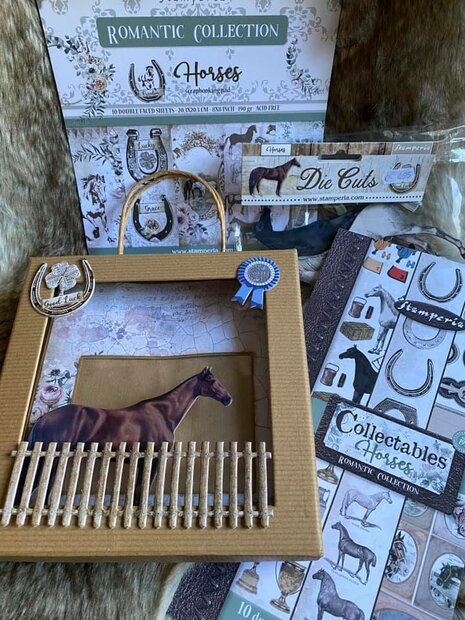 Basispakket Paarden ALBUM Beate LIVE 17 oktober 2021