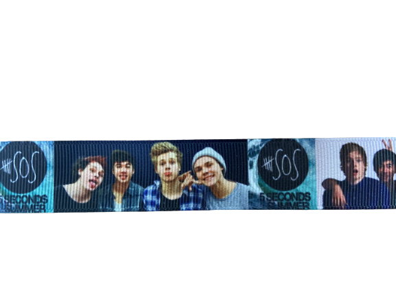 Lint blauw 5 sos 22mm p/m