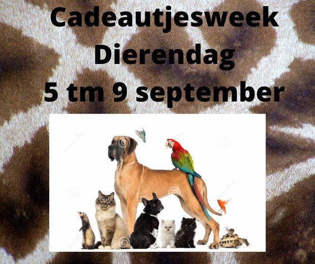 Basisset Dierendag cadeautjes 5 sept tm 9 sept 2022