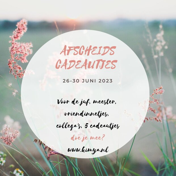 Basisset Afscheid cadeautjes 26-30 juni 2023