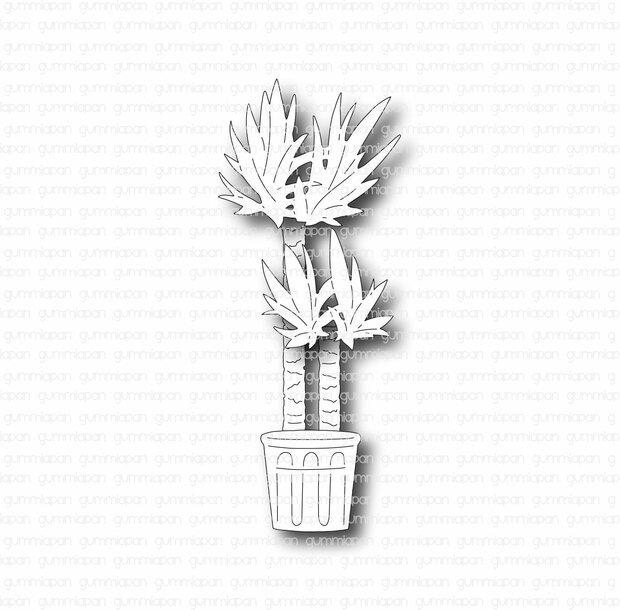 Stans Yucca palm 33x81mm p/st