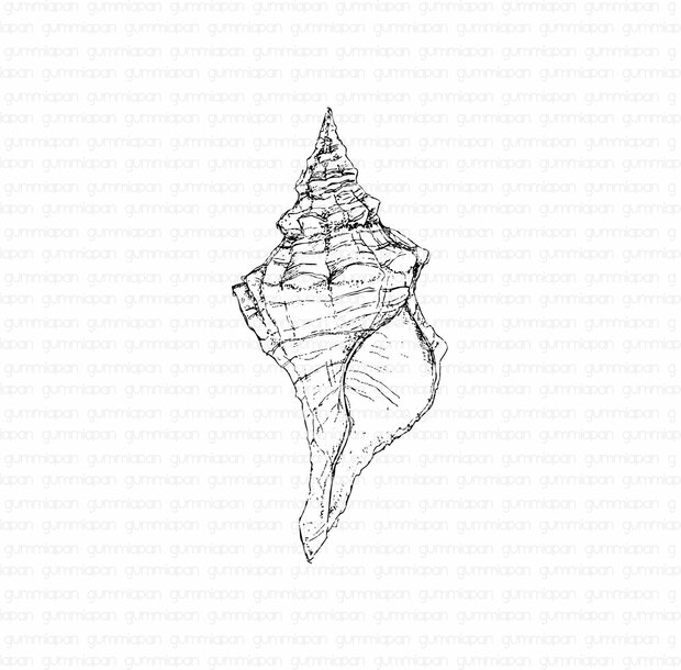 Stamp grote schelp 47x100mm rubber unmounted 