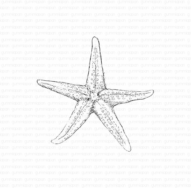 Stamp zeester groot 92x90mm p/st rubber unmounted 