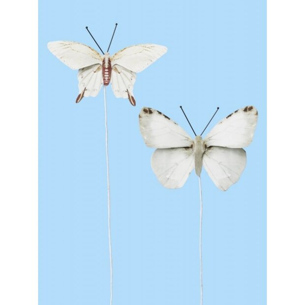 Vlinder wit 35x65mm p/2st