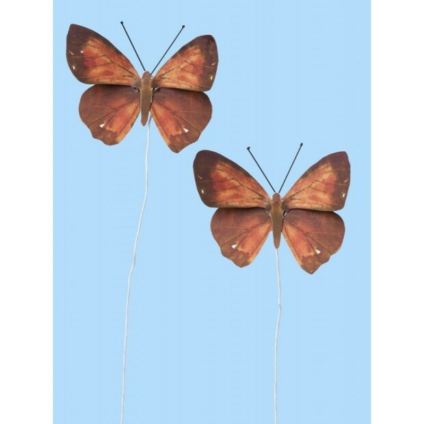 Vlinder bruin/rood 35x65mm p/2st