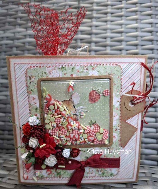 Extra live Krista muisje september 2025 BASISPAKKET