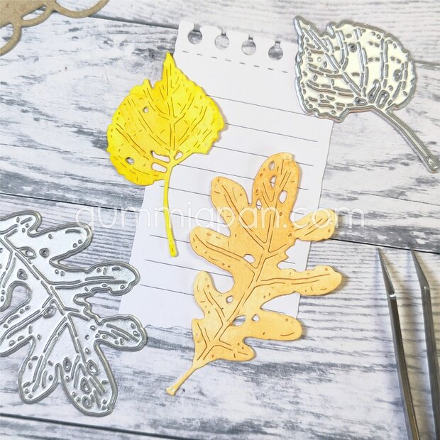 38 x 63 mm, 29 x 49 mm