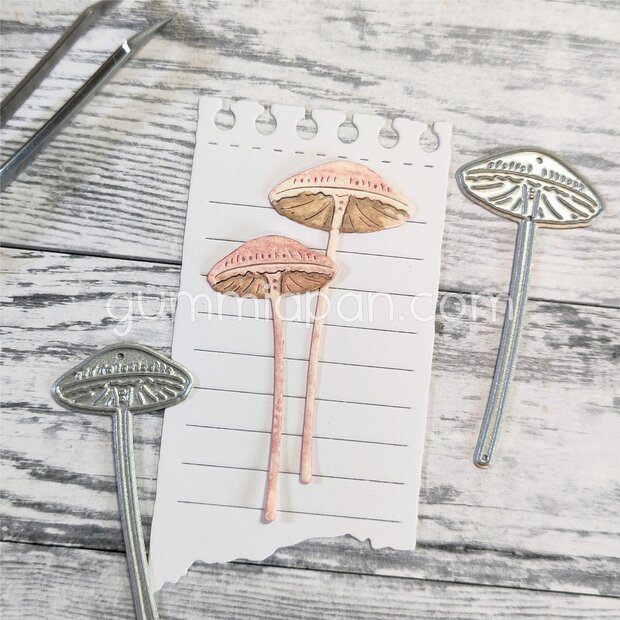 Stans hoge paddestoelen 2 stuks p/st