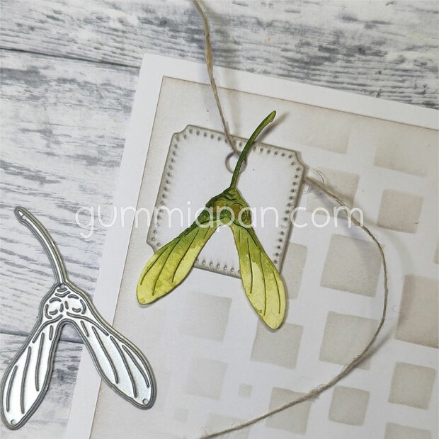 Stans Esdoornzaad 31x45mm p/st