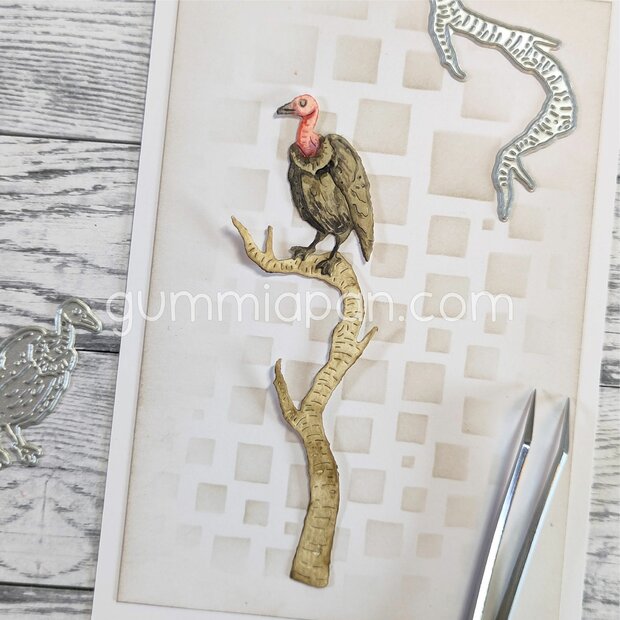 Stans Aasgier op boomtak p/st