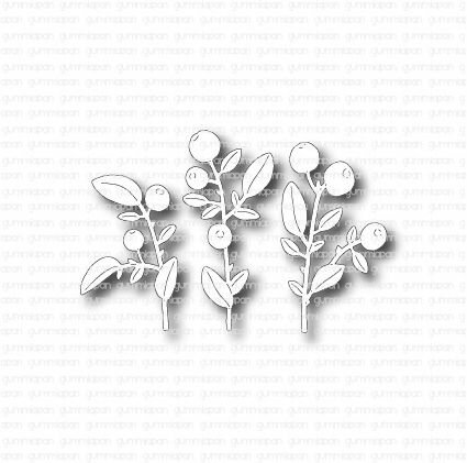 Stans bosbessenplant 3 stuks p/st