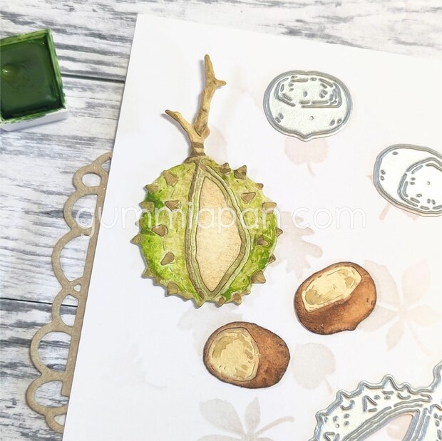 Stans kastanje 3 delig groot p/st