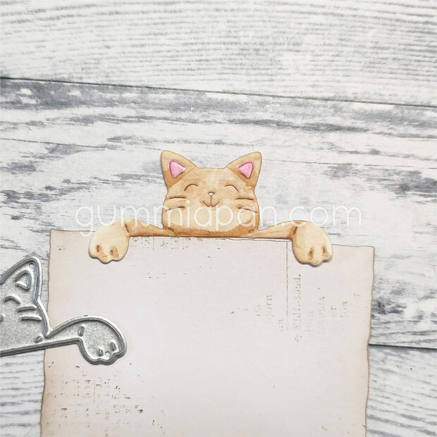 Stans Peekaboo Cat 46x22mm p/st