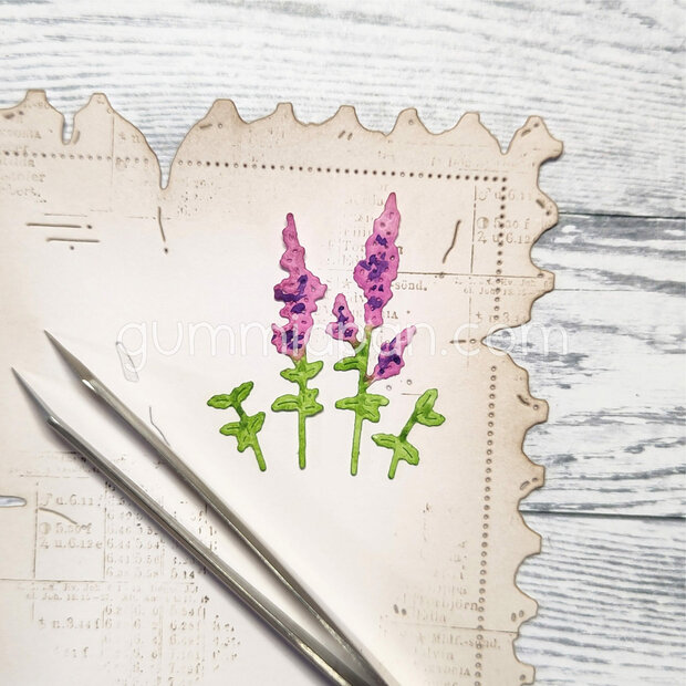 Stans lupine klein p/st